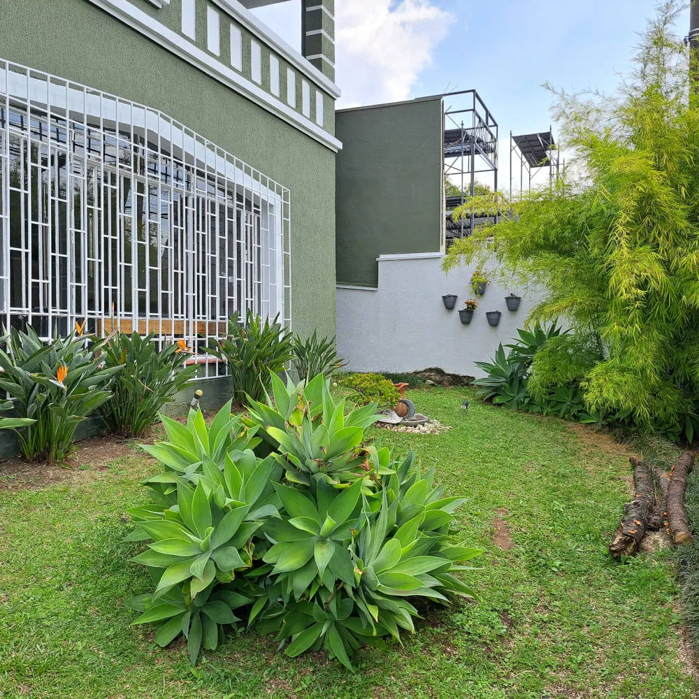 Jardim da casa que abriga o consultório de psicanálise em Curitiba de Marcelo Araldi, no Alto da XV.